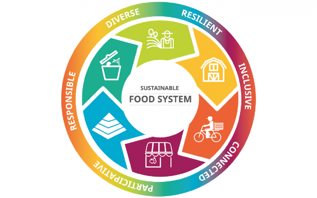 Social enterprises and sustainable food systems