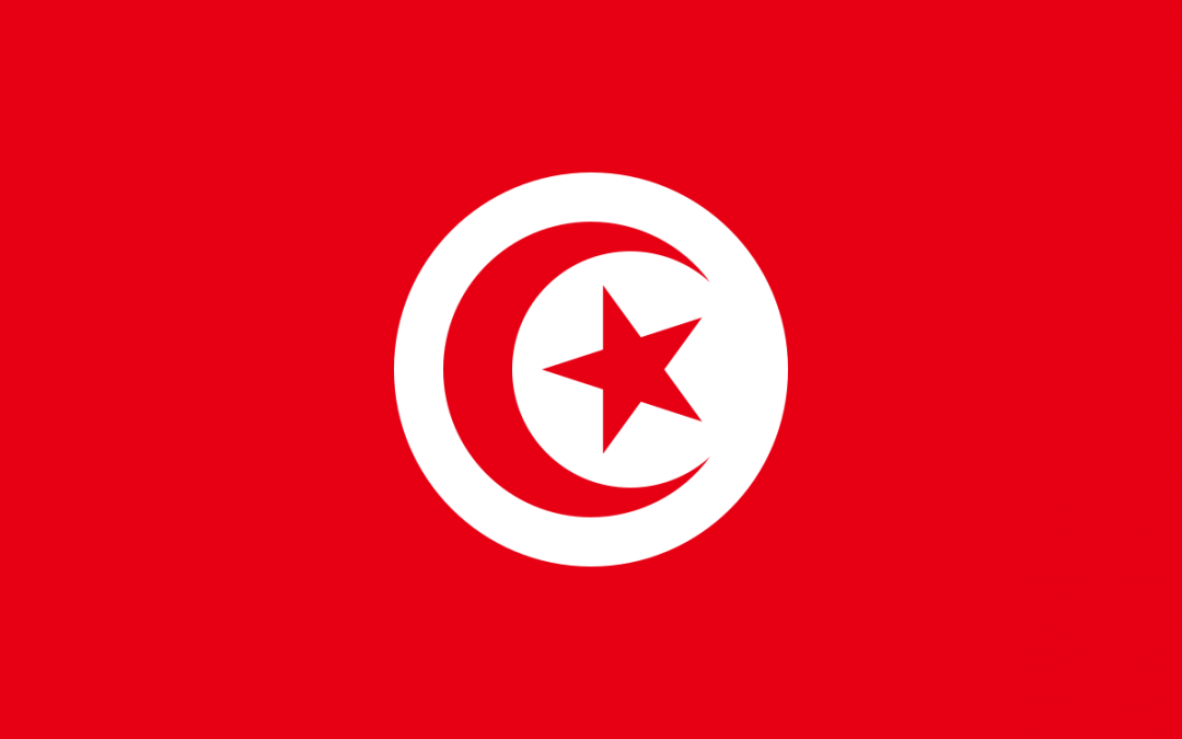 A brief and initial opinion on the Tunisian Law on Social and Solidarity Economy