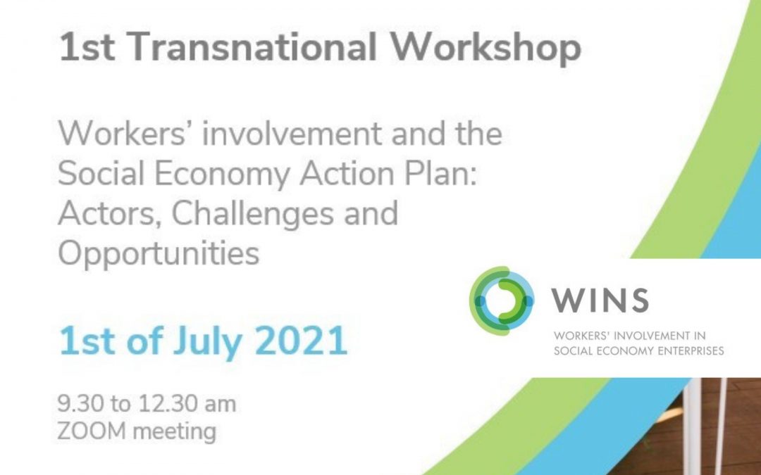 WINS project 1st Online Transnational Meeting (Italy)